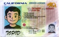 Medium Size America California-new-2025 - High Quality Scannable ID
