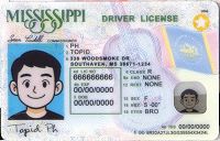 Medium Size America Mississippi-New 2023 - High Quality Scannable ID