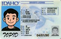 Medium Size America Idaho-2023 - High Quality Scannable ID