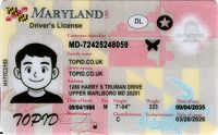 Medium Size America Maryland-new-2025 - High Quality Scannable ID