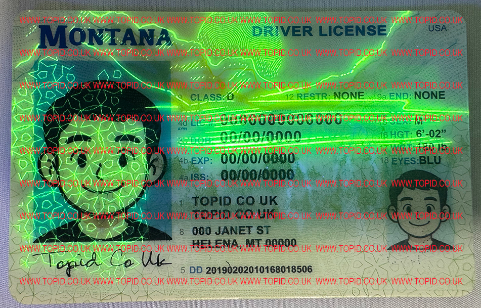 Montana - 3