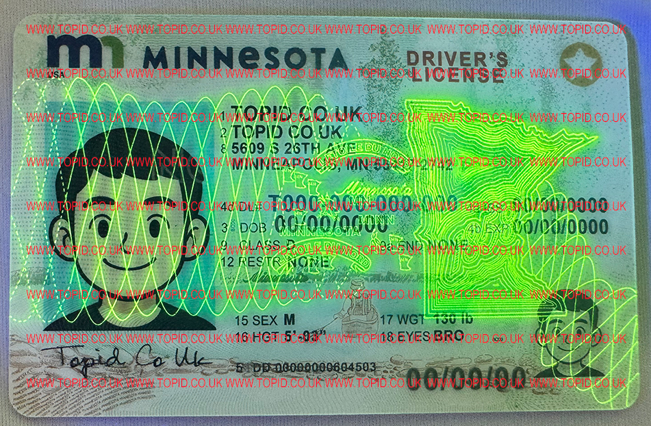 Minnesota - 3