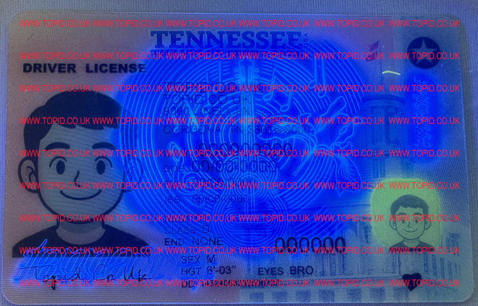 Tennessee - 3