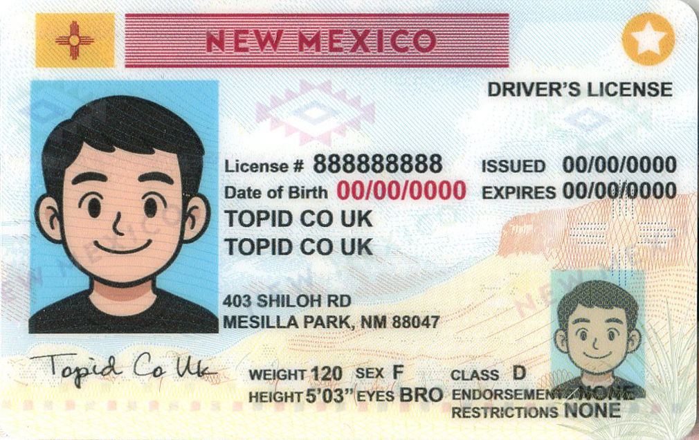 New Mexico - 1