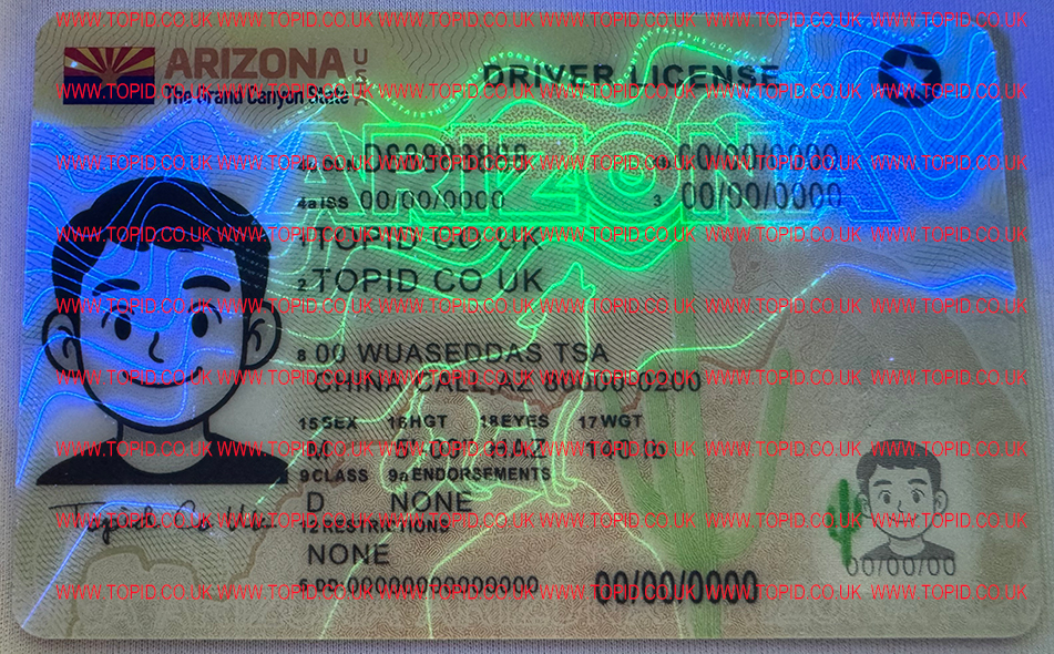 Arizona - 3