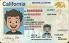Small Size America California - View 4 - High Quality Scannable ID