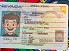 Small Size America Nevada - View 2 - High Quality Scannable ID