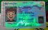 Small Size America Nevada - View 3 - High Quality Scannable ID