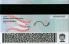 Small Size America Ohio - View 1 - High Quality Scannable ID